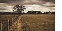 Des champs, une clôture et un arbre dans la campagne sous un ciel très nuageux
