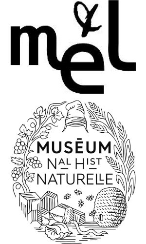 Logos du MNHN et de la Mél